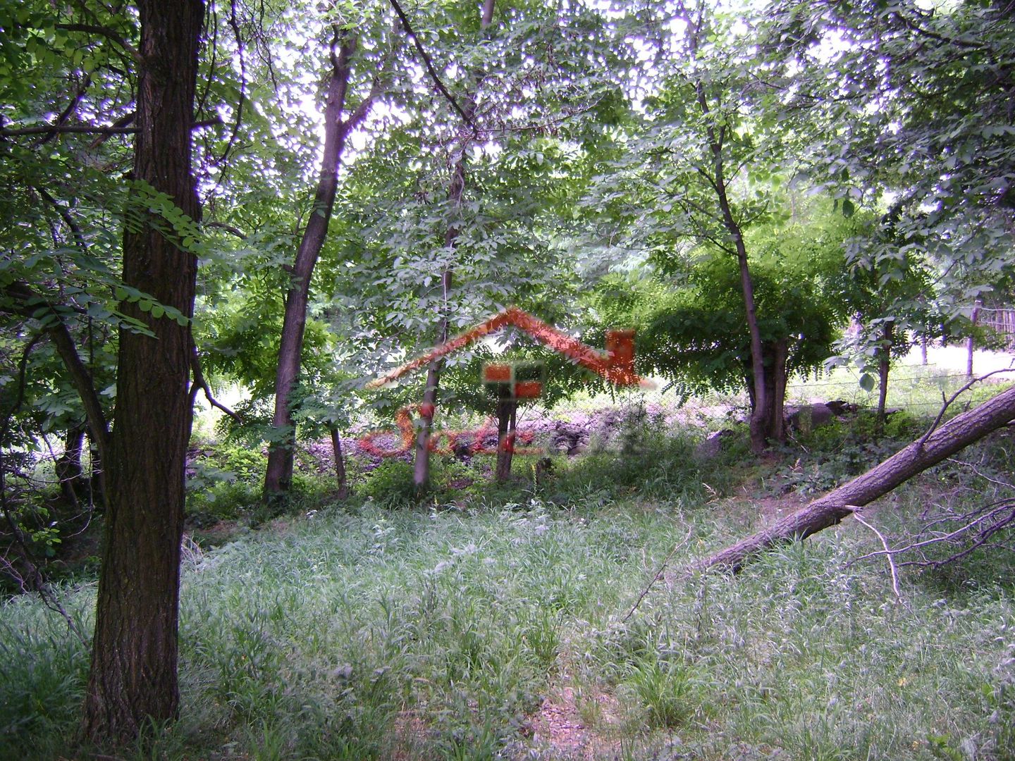 Teren de vanzare Cornu 3074 mp - Poză 3