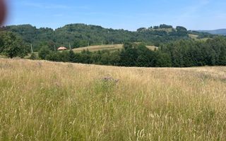 Teren intravilan I Loc deosebit, inconjurat de padure I Vladeasa - Poză 2