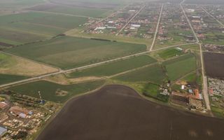 Teren 76.000mp între Sântana și Caporal Alexa - Poză 5