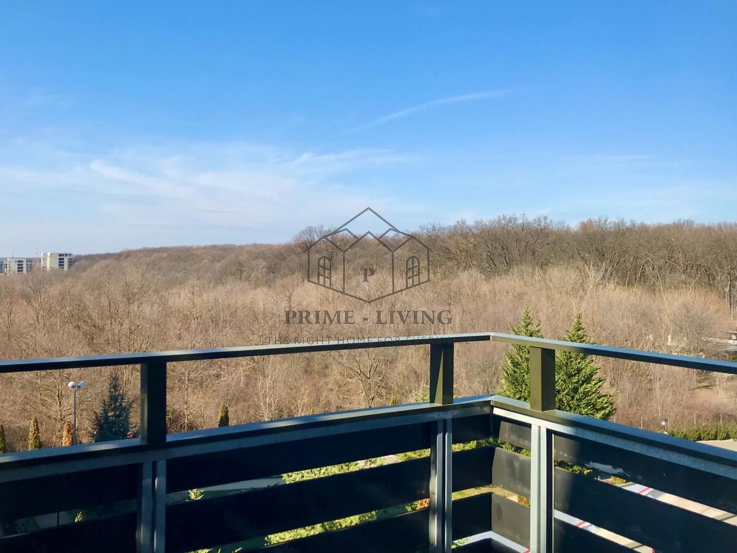 APARTAMENT COCHET CU 3 CAMERE LA INCHIRIERE IN ZONA GRADINA ZOO - Poză 6