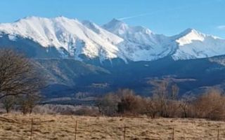 Teren Intravilan | 1000 MP | Valea Avrigului - Poză 4