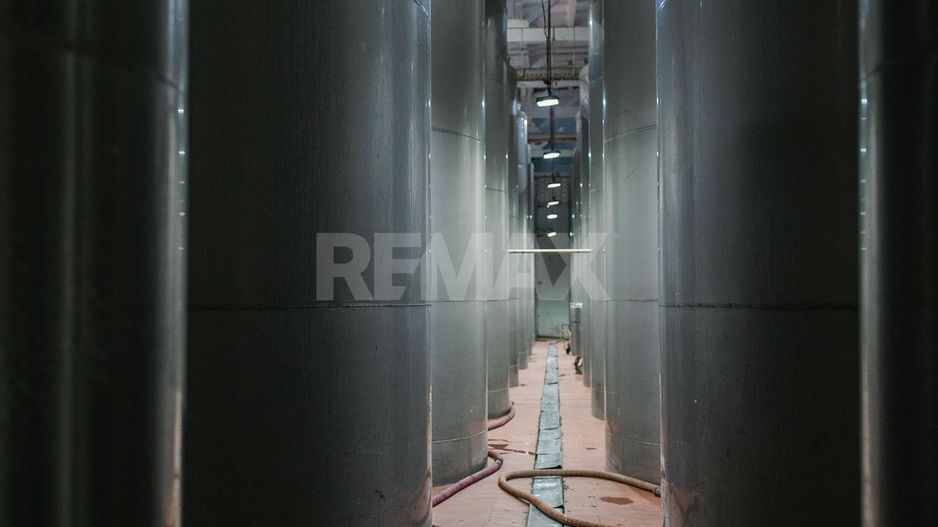 Complex Vitivinicol de Referință în Sudul Moldovei | 206 ha teren agricol | Investiție strategică - Poză 5