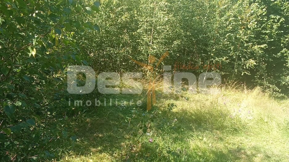 Teren de vânzare – Moisei, Maramureș - Poză 6