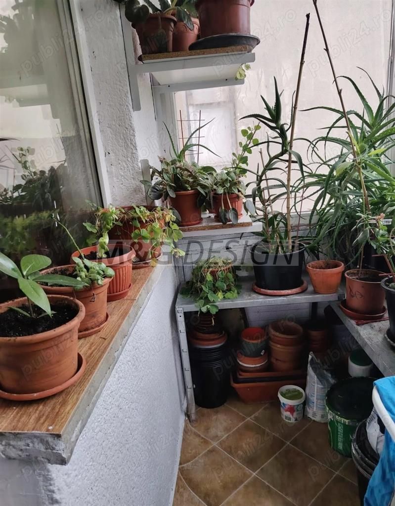 Apartament 4 camere Steaua etaj 1 - Poză 10