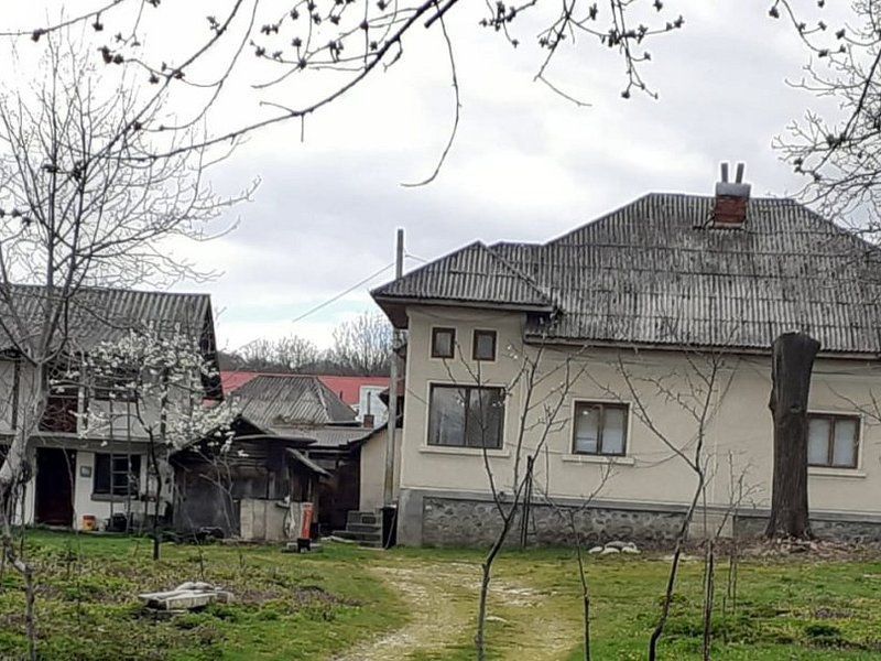 Casa de vanzare Domnesti Arges - Poză 2