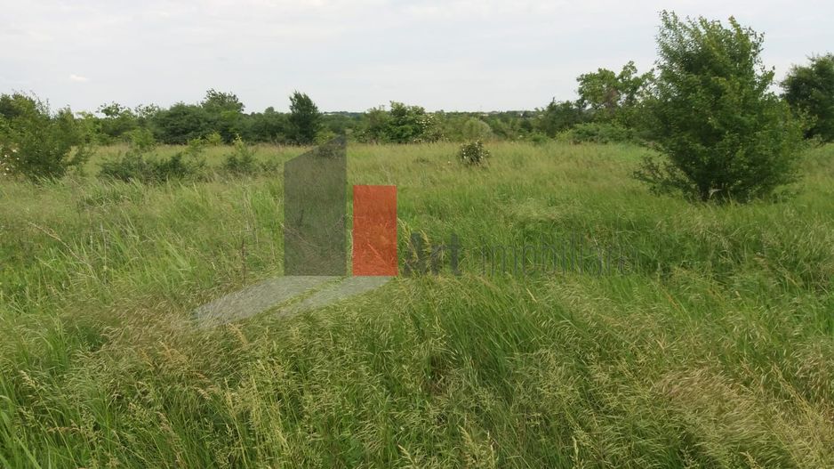 Teren Buftea cu iesire la lac - Poză 19