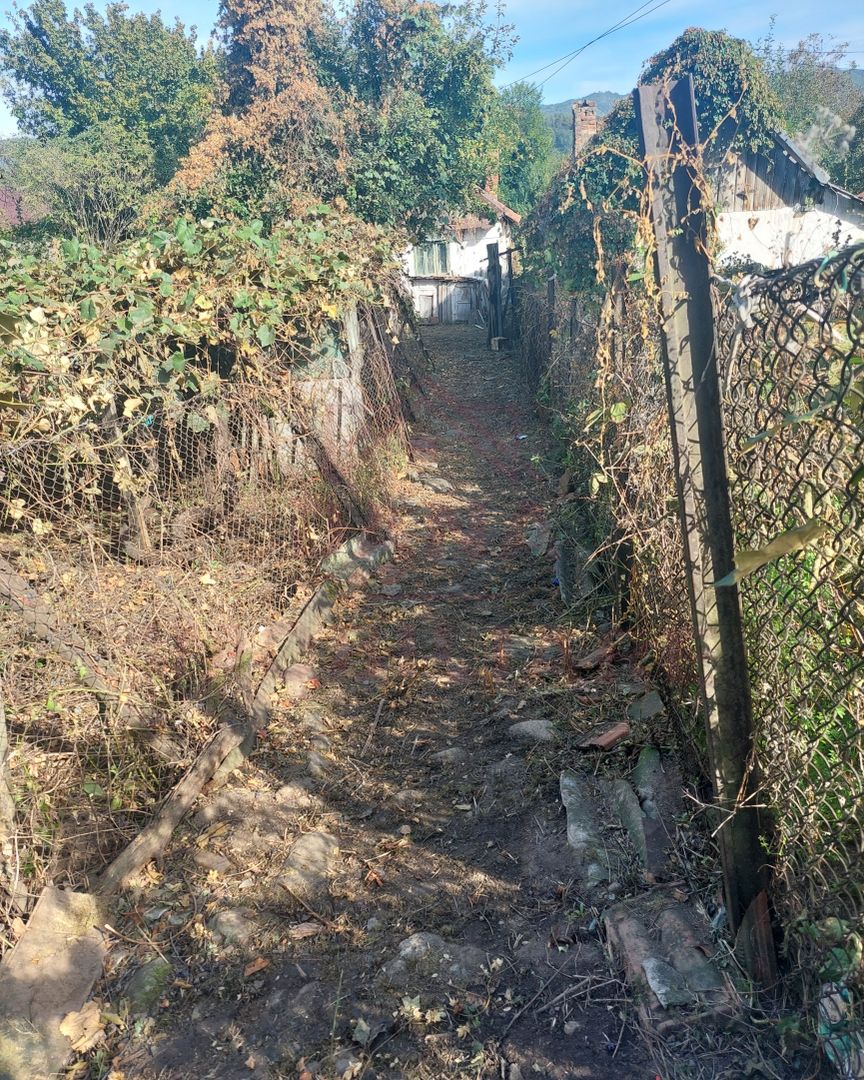 CASĂ DE VÂNZARE 2 CAMERE\ ZĂVOI\ JUD. CARAȘ-SEVERIN - Poză 6