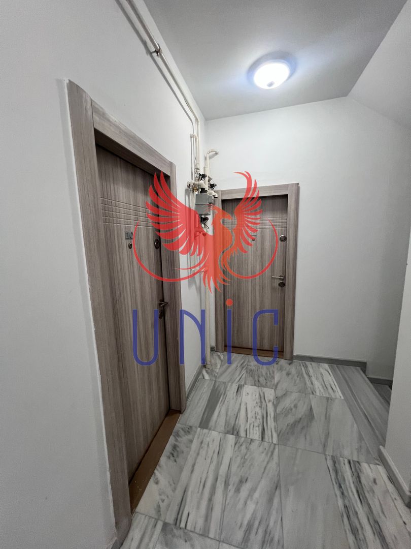 Apartament pe 2 niveluri, 268 mp, Gradina Botanica - Poză 16