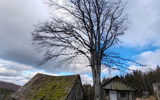 19.5 Hectare în Zona Turistică Montană – Bulz, Bihor - Poză 8