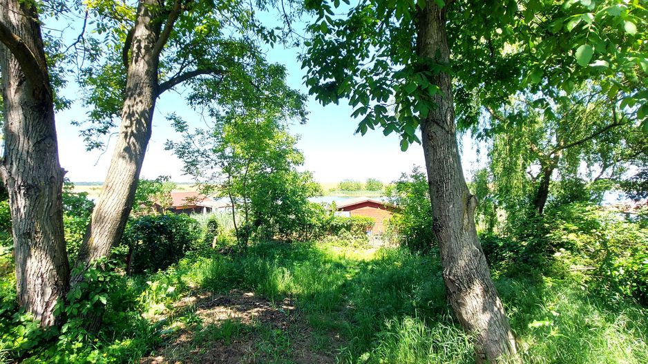 Teren Snagov - Ciofliceni cu deschidere la lac | Ponton si garaj barca - Poză 6