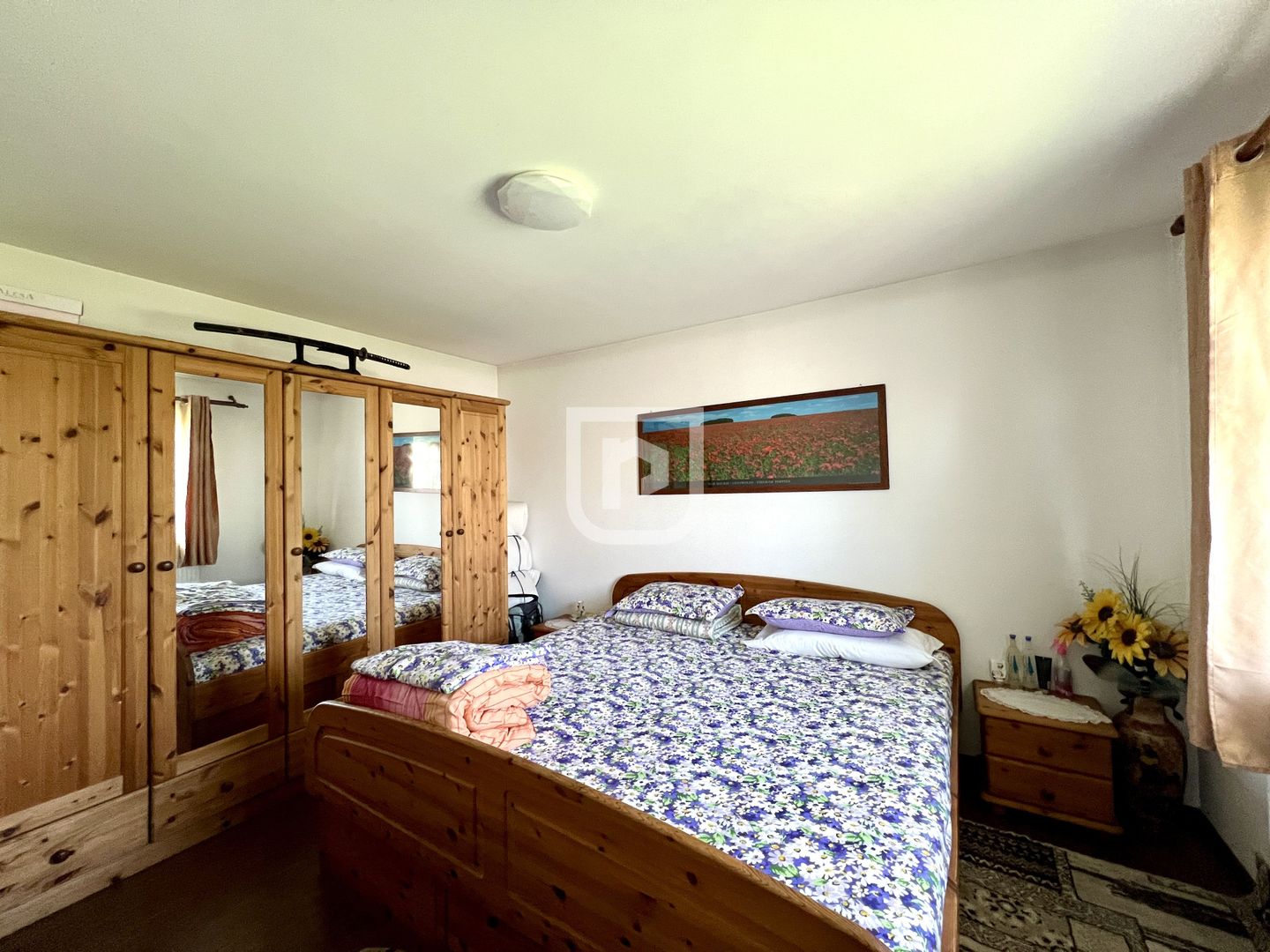 Ferma agricola, plantatii de mure, trandafiri, vita-de-vie - Poză 8