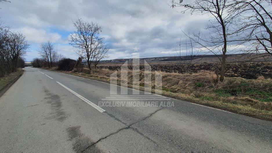 Vand teren extravilan - Poză 8