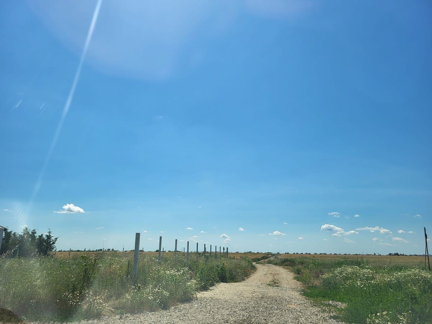 Teren 10.000m2 intravilan Balotesti langa Cartierul LUNA - Poză 4
