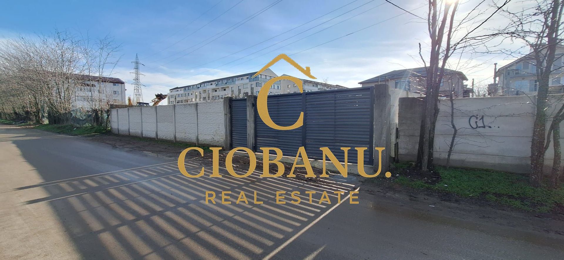 Casa de vanzare zona Damila-Capsunarie - Poză 19