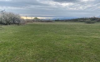 Teren extravilan | Cristian | 11.500 mp - Poză 2