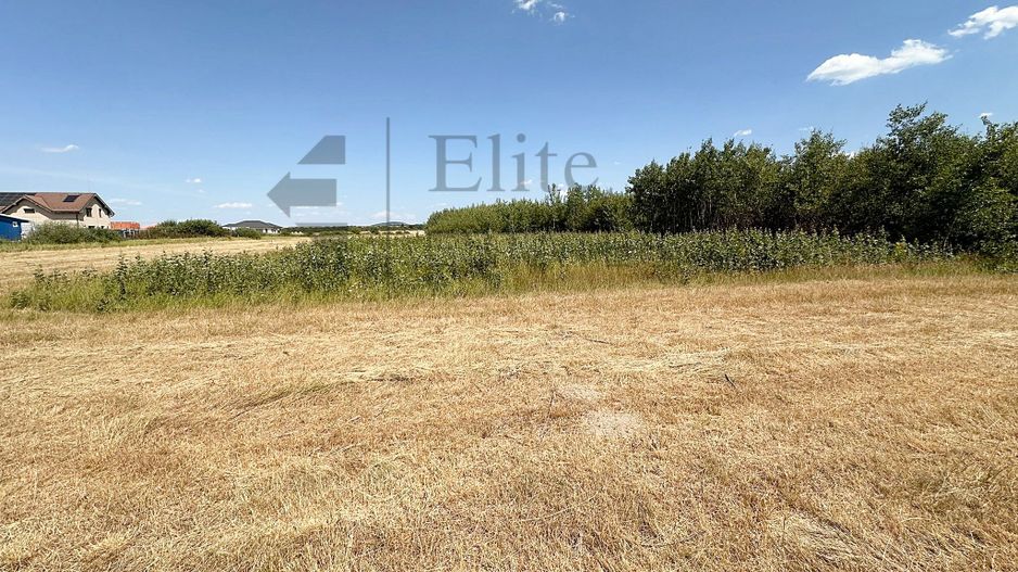 Teren intravilan 1114 mp Sanmartin - Poză 6