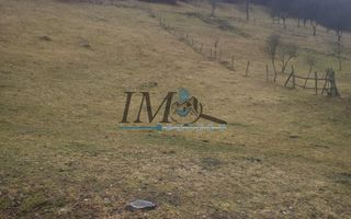 TEREN PENTRU CABANA PE VALEA TONII - Poză 2