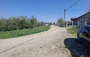 Teren toate utilitatile Paleu