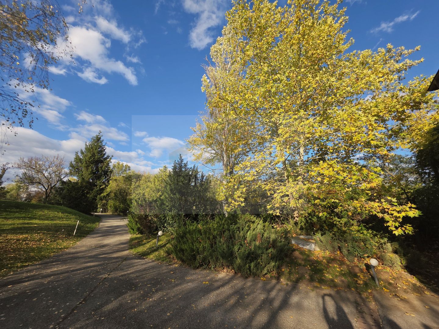 Reședință exclusivistă cu deschidere la Lacul Scroviștea - Poză 21