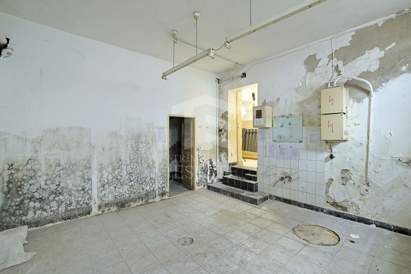 PIATA ROMANA - Calea Dorobanti, ASE | Vila - Spatiu Comercial - Poză 36