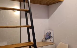 Apart deosebit pe malul Begai - Poză 7