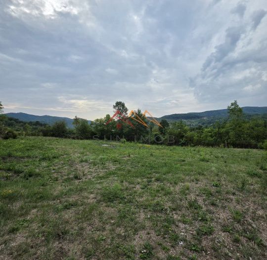 Teren Intravilan, utilitati in zona, 2600 mp, Draganeasa, Prahova - Poză 5