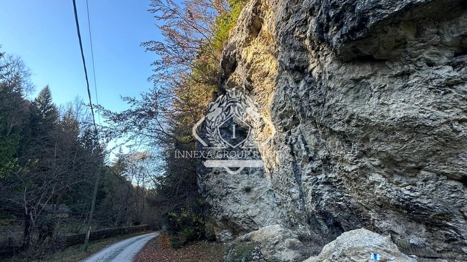 Teren 2.882 mp – oportunitate investitie - Cheile Dâmbovicioarei - Poză 1