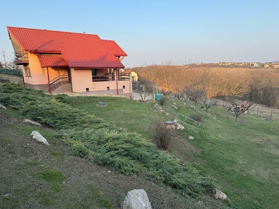 Hlincea, str.Mănăstirii, CIUREA, Iaşi + 1.700 mp teren şi Vilă (D+P+M) - Poză 12