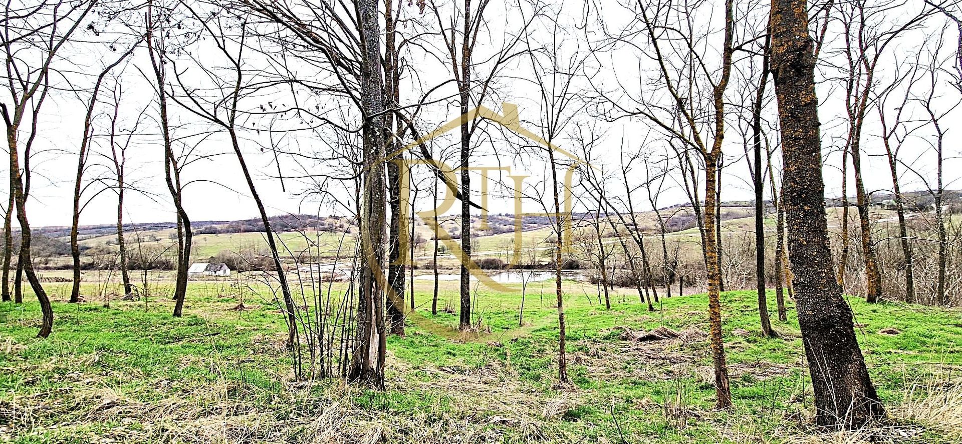 Terenuri extravilane de vânzare – Vizma & Crivobara, comuna Secaș, jud. Timiș - Poză 8