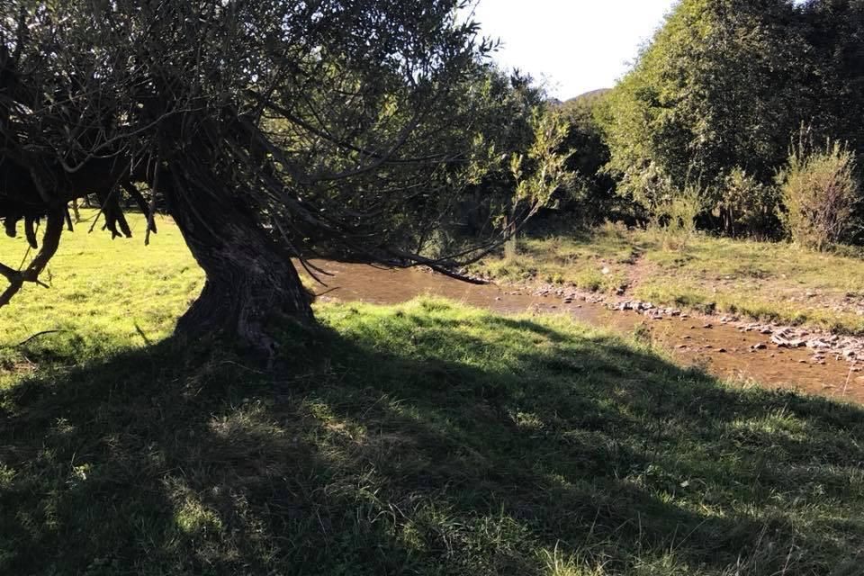 Teren intravilan in Plaiul Foii, Zarnesti - Poză 3