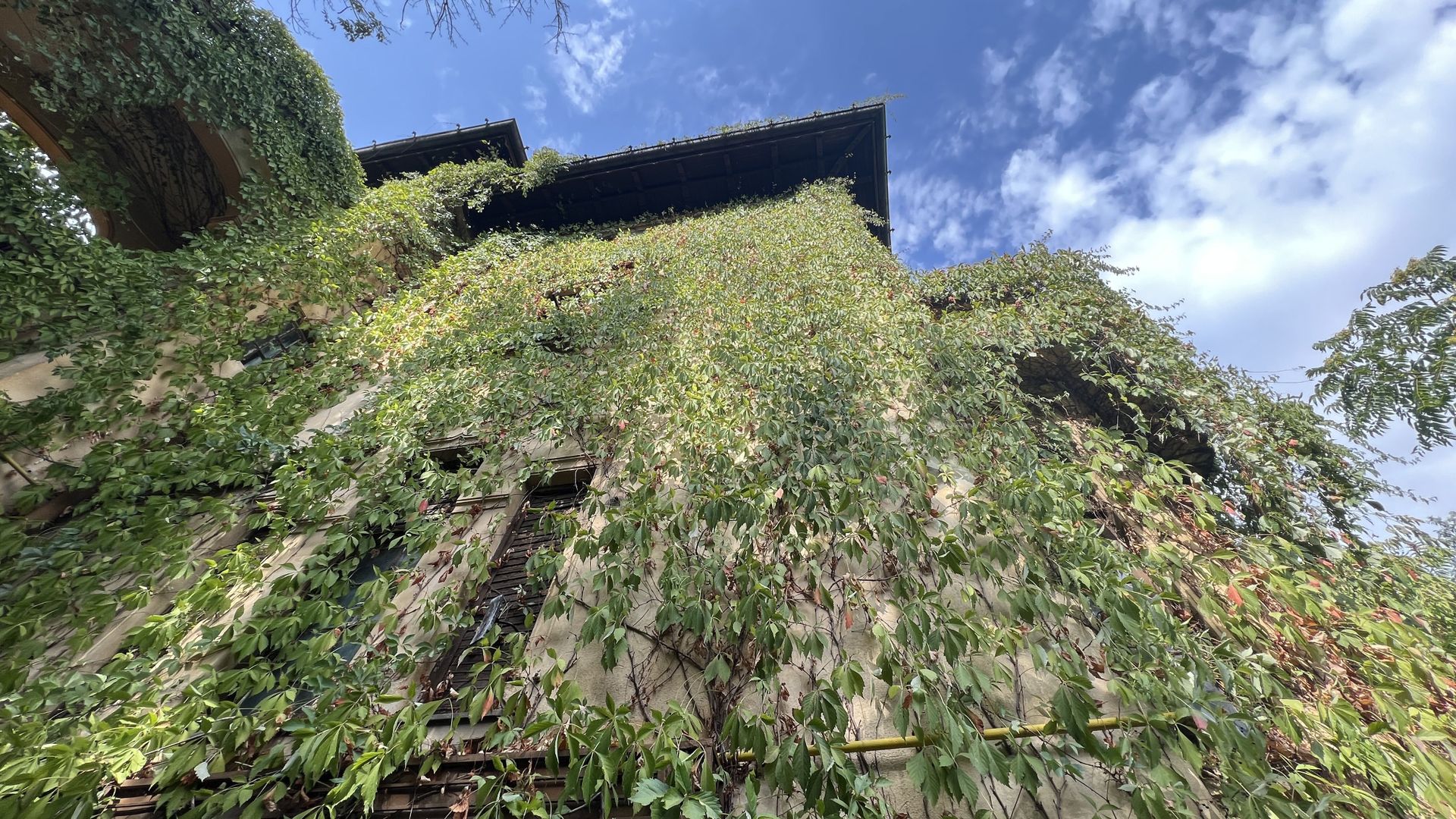 VILA INDIVIDUALA CISMIGIU | INTR. TEMISANA - Poză 13