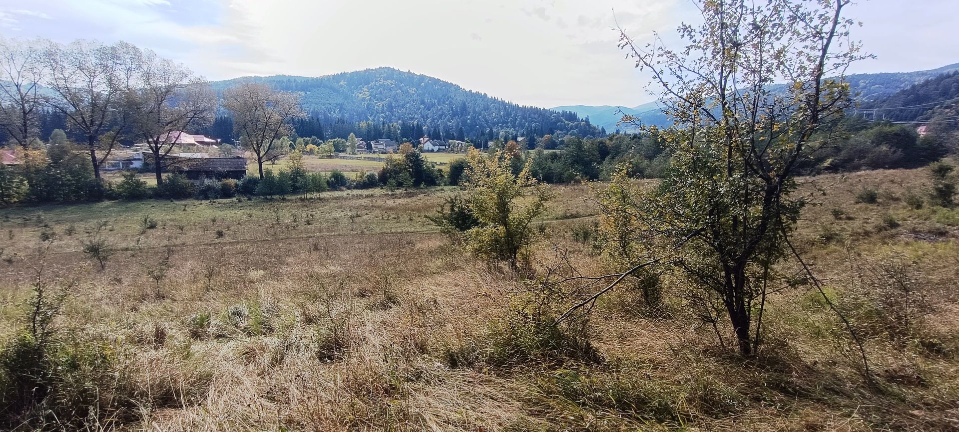 teren in zona Bradet-Sacele - Poză 7