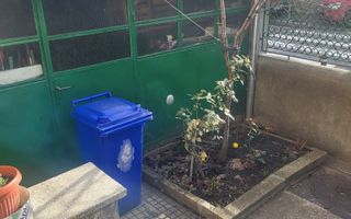 Vanzare Casa vintage 4 camere, curte proprie, centrala, garaj , Vatra Luminoasa - Poză 18