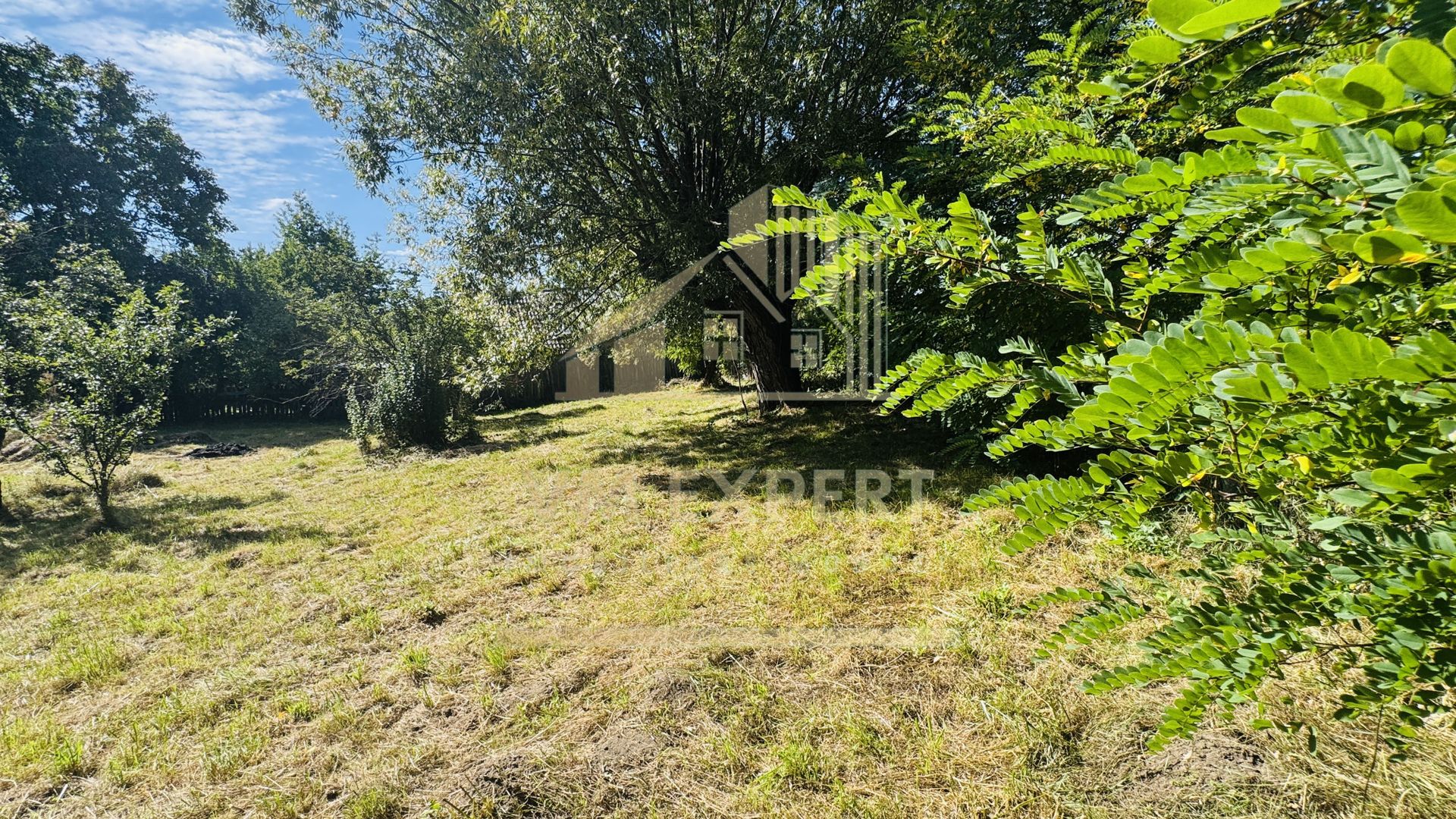 TEREN INTRAVILAN 3234 MP LEREȘTI VOINEȘTI ARGEȘ - Poză 11