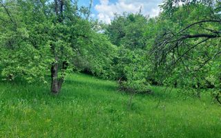 TEREN 1617 MP CAMPULUNG-MUSCEL - Poză 5