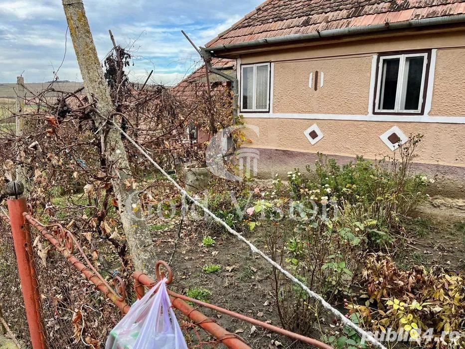 Vand casa cu teren suprafata mare, in Dedrad, Reghin MS - Poză 3