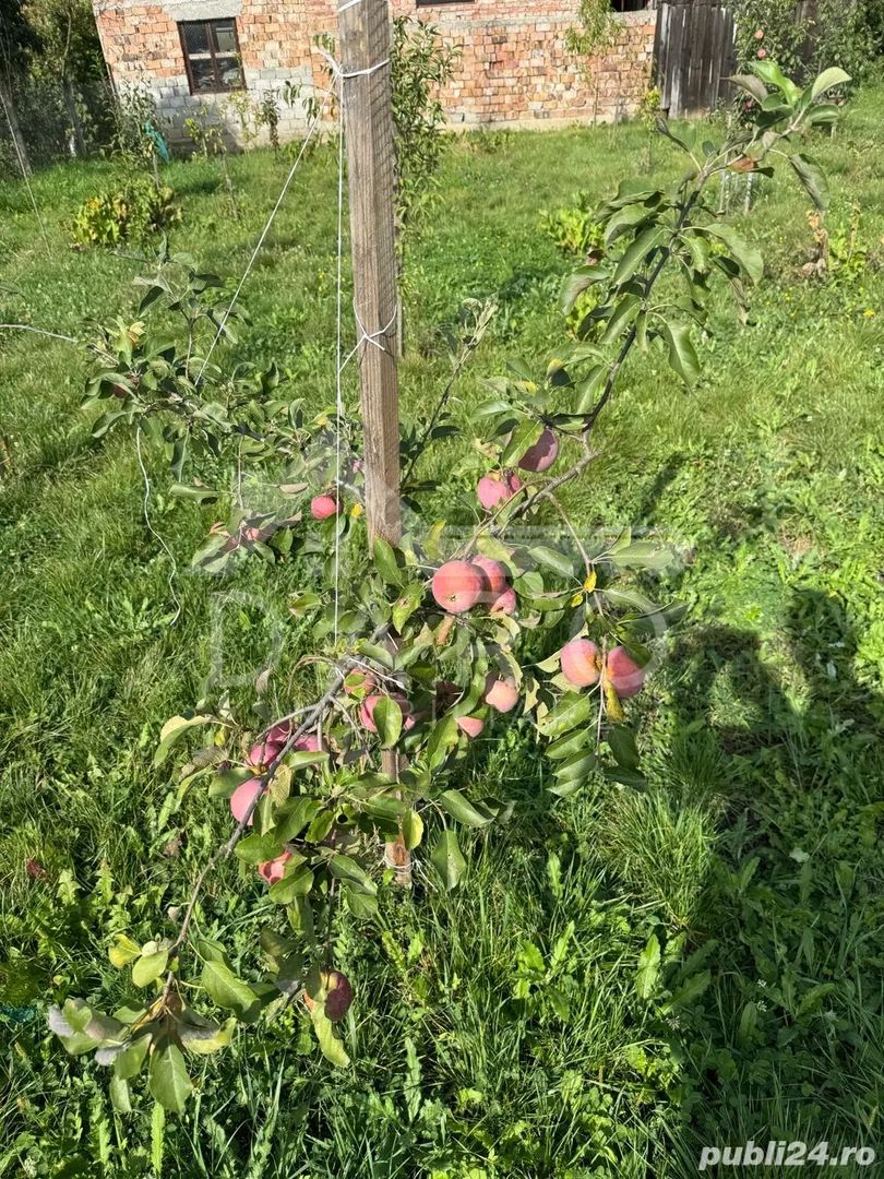 Casa de Vanzare  GORNESTI- Renovata 2025 semifinisata. - Poză 8