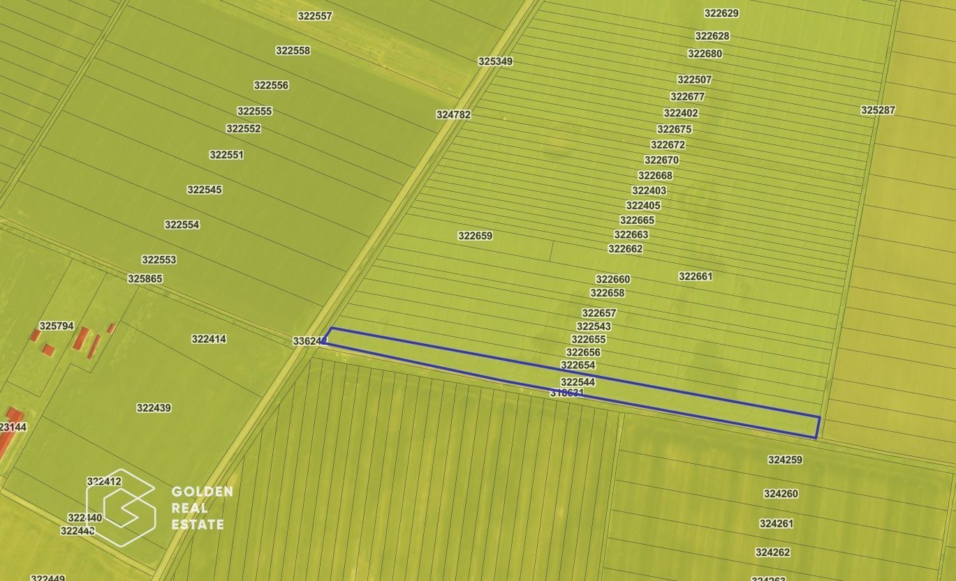 Teren agricol, 14 630 mp, Vladimirescu, ZERO COMISION - Poză 1