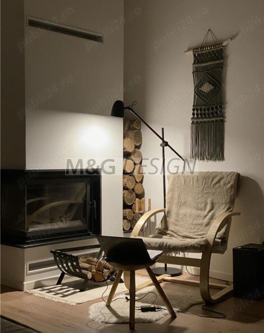 Apart deosebit pe malul Begai - Poză 2