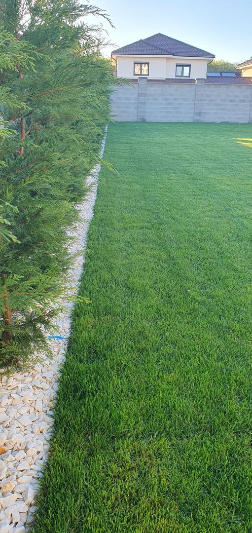 Casa individuala Dumbravita - Pădure - Poză 24