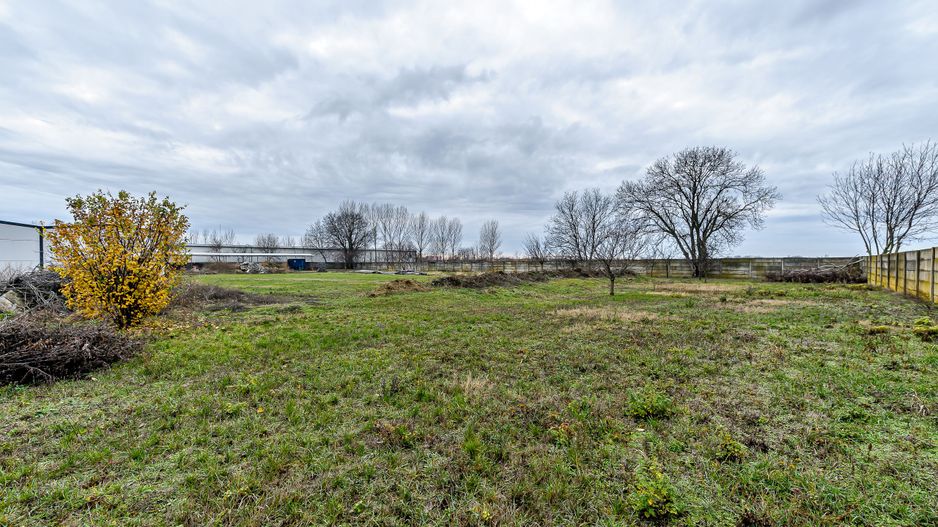 Hale depozitare/producție 2.000 mp si 10.000 mp teren în Pecica - Poză 14