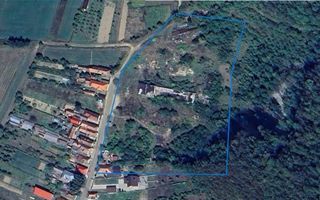 Domeniu de 13.500 mp: potential investitie fabrica de caramida, Viforoasa, Mures - Poză 2