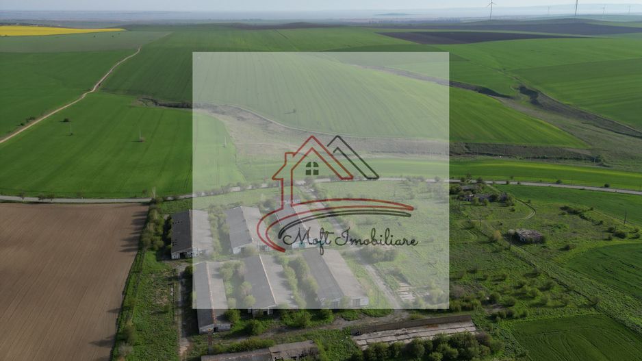 Oportunitate Investiție – Fermă 9,5 Ha cu 10.000 mp Construcții - Poză 2