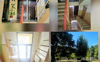 Apartament 2 Freidorf - Poză 3