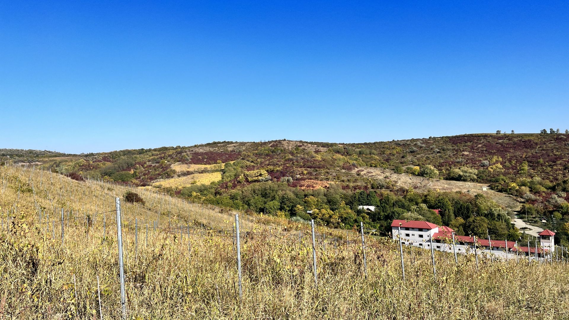 14Ha podgorie, livada pomi fructiferi, si conac 3000mp - Poză 9