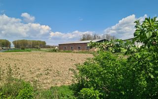 Teren intravilan Babeni - Poză 7