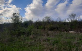 lot de teren pentru construcții Boșcana - Poză 7