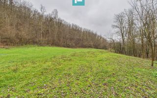 Casă cu teren de 24.679,73 mp, în Hălmagiu, Arad - Poză 31