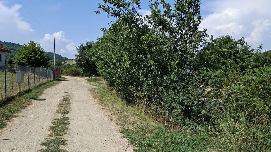 Teren de vanzare in Valcele - Poză 2