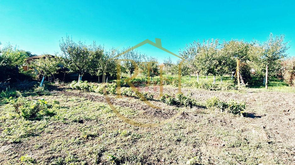 Casa cu 5 camere, teren 1500 mp, Beregsau Mare 0% Comision pentru cumparator - Poză 6